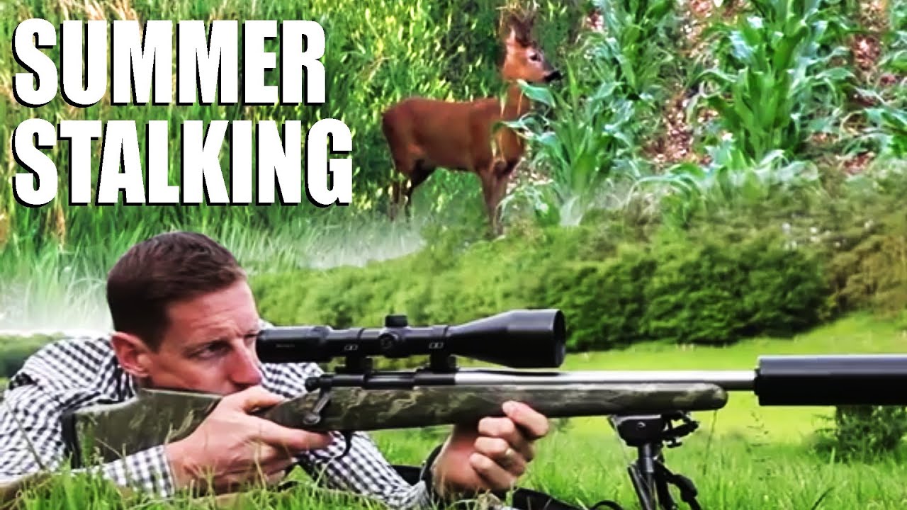 Summer Roebuck Stalking with Paul Childerley