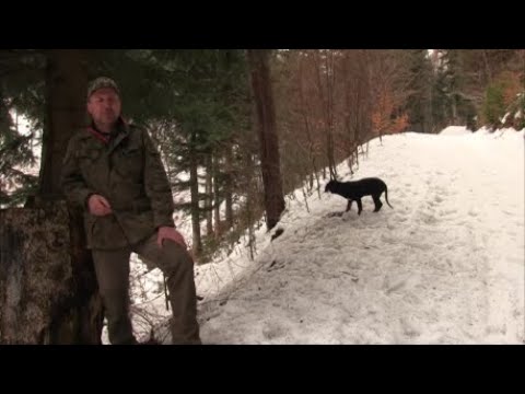 I Met Hunters - Episode 194 The Adventures of the "Old" Planter