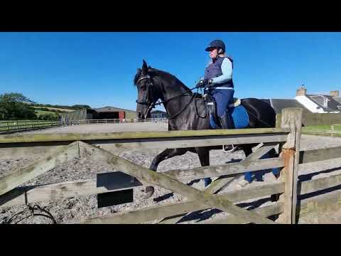 E-riders Novice 3b Elite Linda Thomson Fenomenal