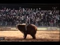 Doritos Rodeo Reklamı