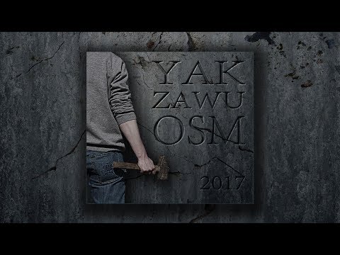 Yak / Zawu - Historia