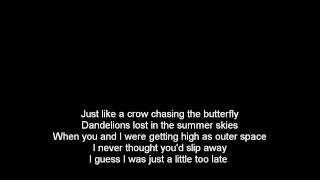 Shinedown - The Crow &amp; The Butterfly With Lyrics
