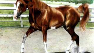 CABALLO ALAZAN LUCERO.mpg