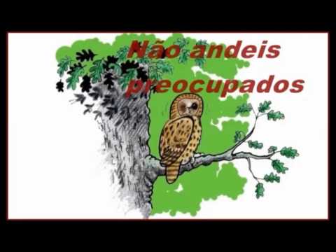 Não andeis preocupados, hinos da editora arvore da vida