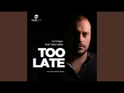 Too Late (Neil Pierce Instrumental)