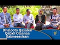 Dhaloota Qaxalee Qabxii Olaanaa Galmeessisan