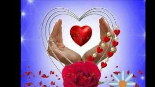 conjunto primavera ave cautiva.