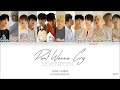Seventeen Dont Wanna Cry Lyric Video