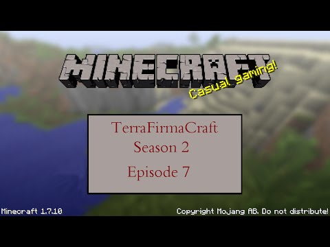TerraFirmaCraft S2E7 - Distractions