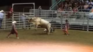 Super 8 2014 Cumming country fair