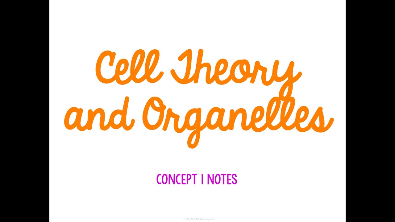 Unit 2 Cells Concept 1 Notes *UPDATED*