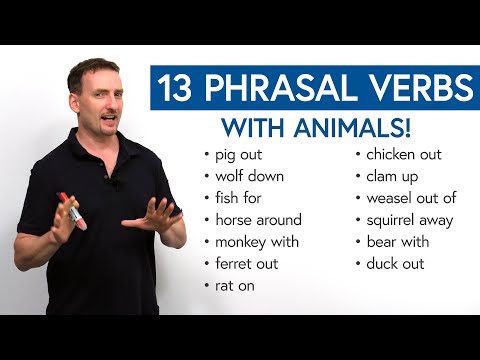 動物を使った13の句動詞：fish for, clam up, wolf down... (13 Phrasal Verbs with Animals: fish for, clam up, wolf down...)