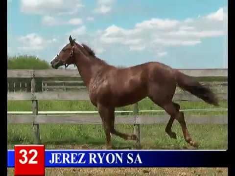 2016 - Lote 32 JEREZ RYON RDA   Beduinos Ryon x Cleopatra Steel Super Satin Steel