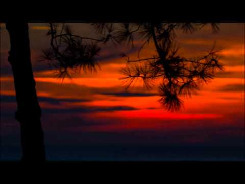 Pete Flux & Parental - Illness feat. Rob-O (Hip-Hop) ᴴᴰ