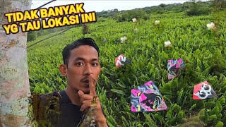 Download lagu ENOJPS KETIBAN REJEKI NOMBLOK NYASAR DI LOKASI YG DI PENUHI LAYANGAN SULTAN! mp3