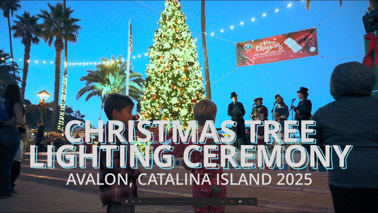 (HDR) 2025, "Christmas Tree Lighting, Avalon"