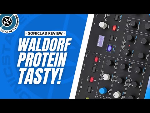 Waldorf Protein - Tasty Wavetable  Synth SonicLAB  Review