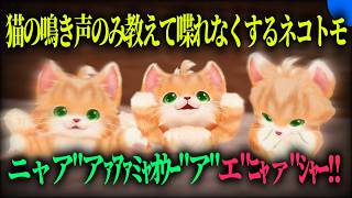 お前は何が言いたい？