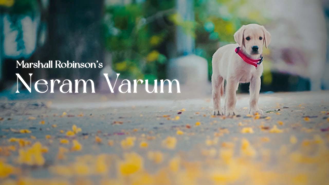 Neram Varum Song Lyrics | Album Songs 2023 | Marshall Robinson