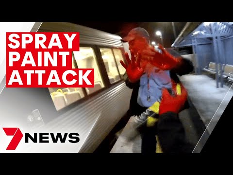 Jack Gibson-Burrell sentenced for spray painting Park Road security guard  | 7NEWS