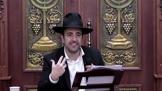 הרב מאיר אליהו | 10 סגולות למציאת שידוך טוב | משכן יהודה- ה׳תשפ״ה (הרב מאיר אליהו) - התמונה מוצגת ישירות מתוך אתר האינטרנט יוטיוב. זכויות היוצרים בתמונה שייכות ליוצרה. קישור קרדיט למקור התוכן נמצא בתוך דף הסרטון