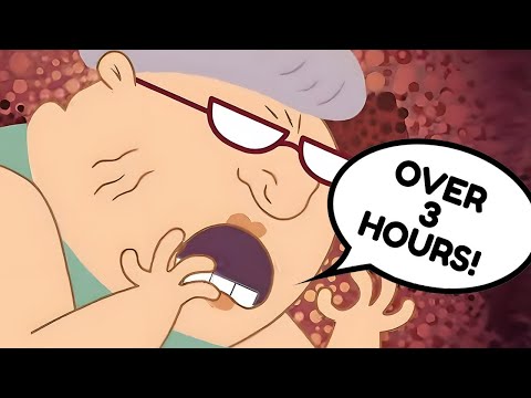 Over 3 Hours of Kid Vs. Kat! | Let the Games Begin, Night Of The Zombie Cat and More! | WildBrain