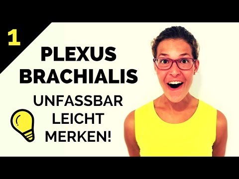 , title : 'Plexus brachialis lernen: So merkst du ihn dir! - Geniale Eselsbrücken & Gedächtnispalast (1/2)'