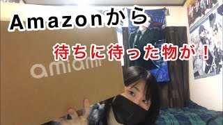 巨大な箱が届きました