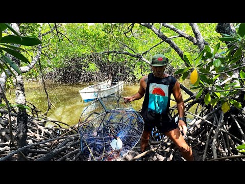 Hunting Mud Crabs In The Deepest Mangroves I've Experienced (Catch & cook)