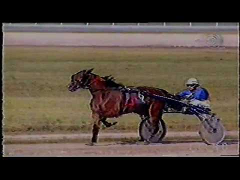 Branislav Mukić reportaža 2000 god.