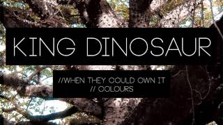 King Dinosaur - When They Could Own It feat. Jake Reid