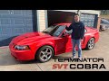 Buying My Dream Car 2003 SVT Terminator Cobra