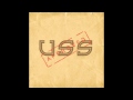 Ubiquitous Synergy Seeker (U.S.S.) - Damini 