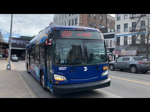 Q59 Bus