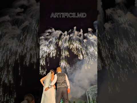 Spectacol de artificii 1700€ 