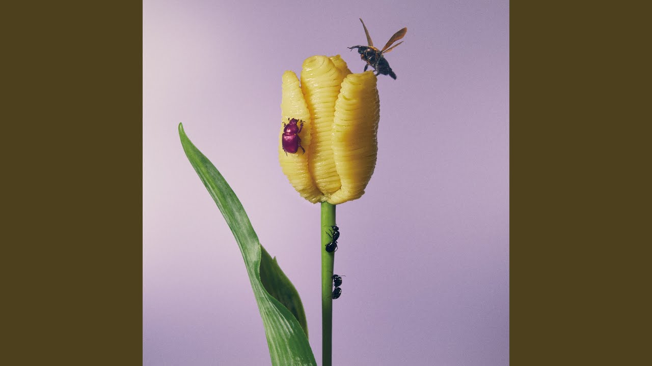 Remember the Days We're Talking Rubbish in the Twilight