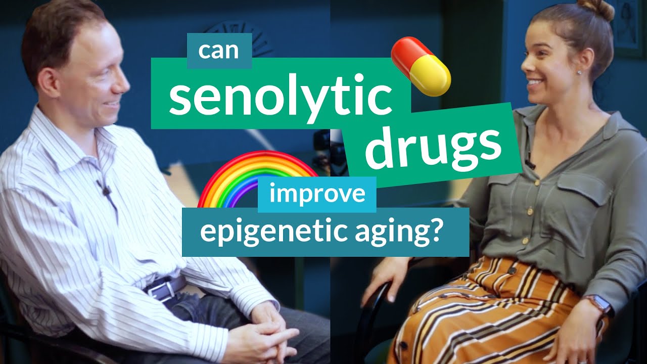 Can senolytic drugs improve epigenetic aging? | Steve Horvath