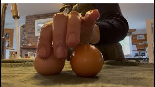 ファーム体験、新しい出発