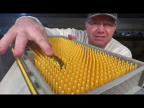 Plano Edge Small Crankbait Box Review