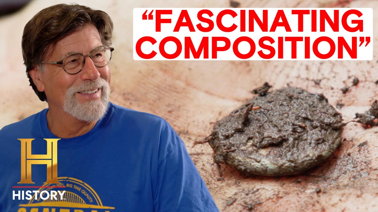 YouTube Thumbnail Downloader FULL HQ IMAGE