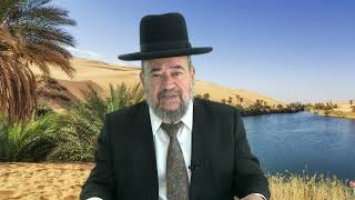 כל אחד והדגל שלו – במדבר – הרב דוד הכהן מרא דאתרא גן יבנה