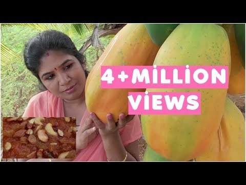 What Cuba can teach America about organic farming