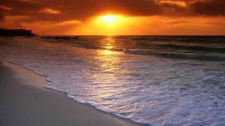 Nest - The Helwick(Ambient)