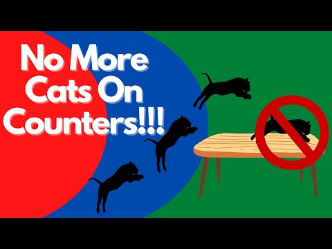 How to stop your cat from stealing food | Tips and Tricks