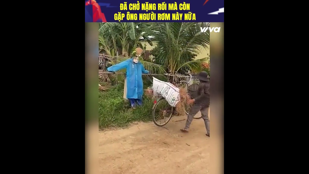 Đã chở nặng lại còn bị ghẹo, bực mình hết sức