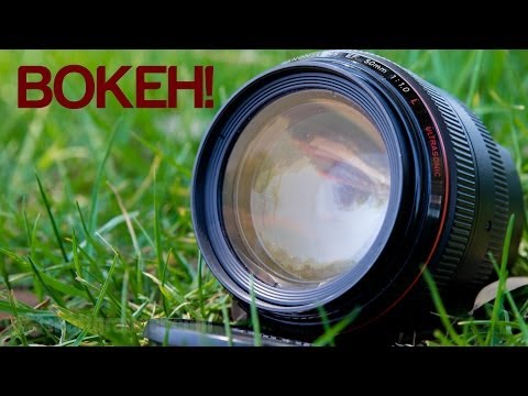 Canon 50mm f1.0 - Bokeh Porn