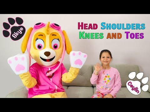 Ceylin-H & Skye - Head Shoulders Knees and Toes Kids Song Kids Pretend Play Video for Babies Toddler