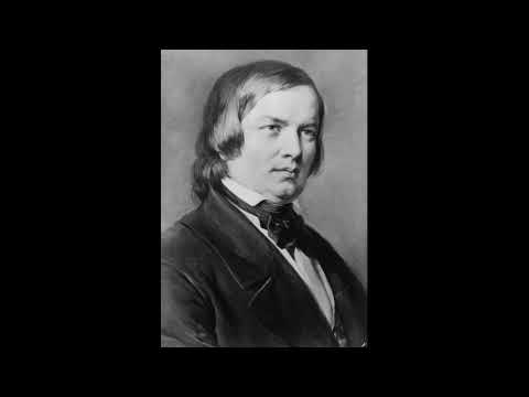 Schumann: Geistervariationen, Filippo Gorini