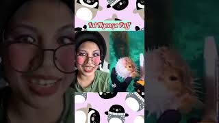 Download lagu INII NYONYA PUFF KAN?? #reaction #comedy mp3