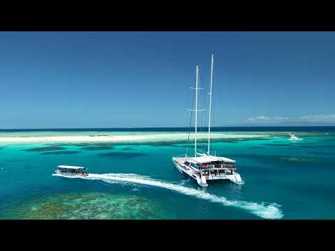 Beautiful Michaelmas Cay